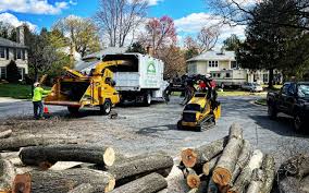 Best Pest Control for Lawns  in Pierceton, IN